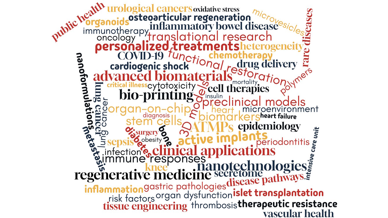 <strong>Nuage de mots UMR 1260 (créé avec nuagesdemots.fr). ©INSERM-UNISTRA UMR 1260</strong>