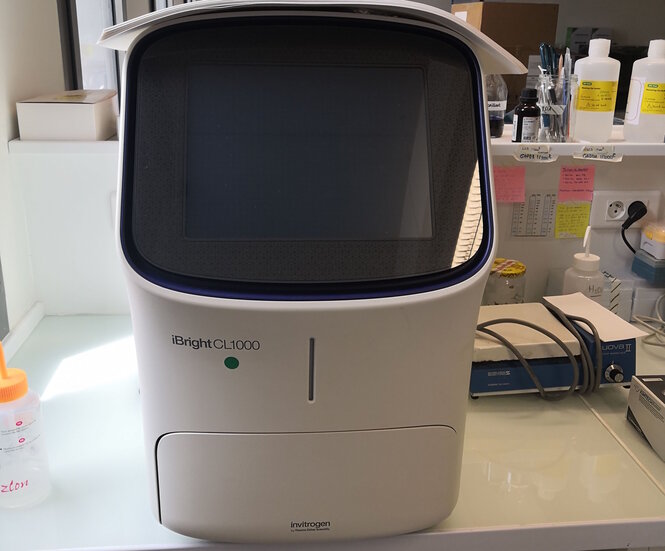 Lecteur de gels. Appareil pour procéder à la détection et à la quantification des protéines présentes dans des gels obtenus par la technique de Western blot.