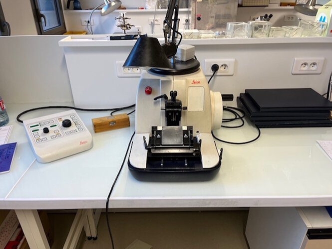 Microtome. Instrument permettant de réaliser de fines coupes histologiques à partir de tissus biologiques qui ont été préalablement fixés et inclus dans un bloc de paraffine.