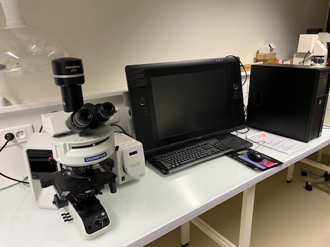 <strong>Microscope pour histologie. ©INSERM-UNISTRA UMR 1260</strong> <br> <em>Microscope pour histologie. Instrument d'imagerie qui permet, à partir d'échantillons traités au préalable avec une coloration histochimique, de visualiser les structures tissulaires.</em> Microscope pour histologie. Instrument d'imagerie qui permet, à partir d'échantillons traités au préalable avec une coloration histochimique, de visualiser les structures tissulaires.