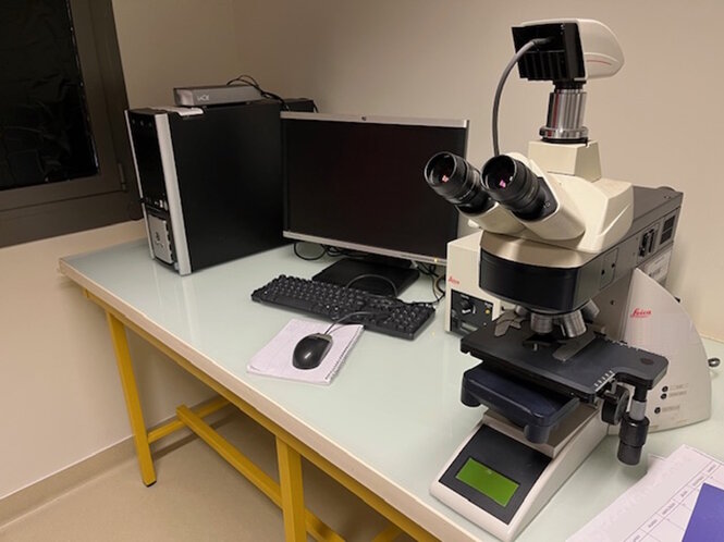 <strong>Microscope pour immunofluorescence. ©INSERM-UNISTRA UMR 1260</strong> <br> <em>Microscope pour immunofluorescence. Appareil d'imagerie permettant la détection et la localisation de molécules à l'échelle intracellulaire grâce à l'affinité antigène-anticorps.</em> Microscope pour immunofluorescence. Appareil d'imagerie permettant la détection et la localisation de molécules à l'échelle intracellulaire grâce à l'affinité antigène-anticorps.