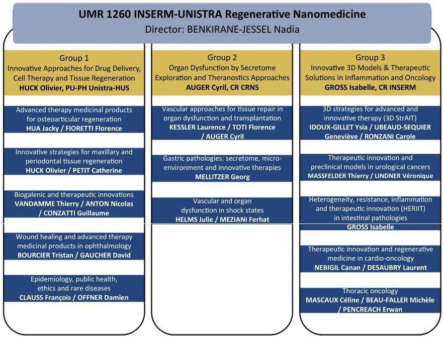 <strong>Organigramme des topics de l'UMR 1260</strong> Organigramme des topics de l'UMR 1260